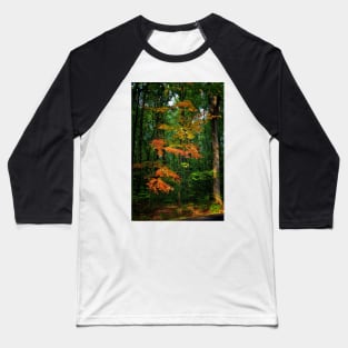 Autumn Sunlight Baseball T-Shirt